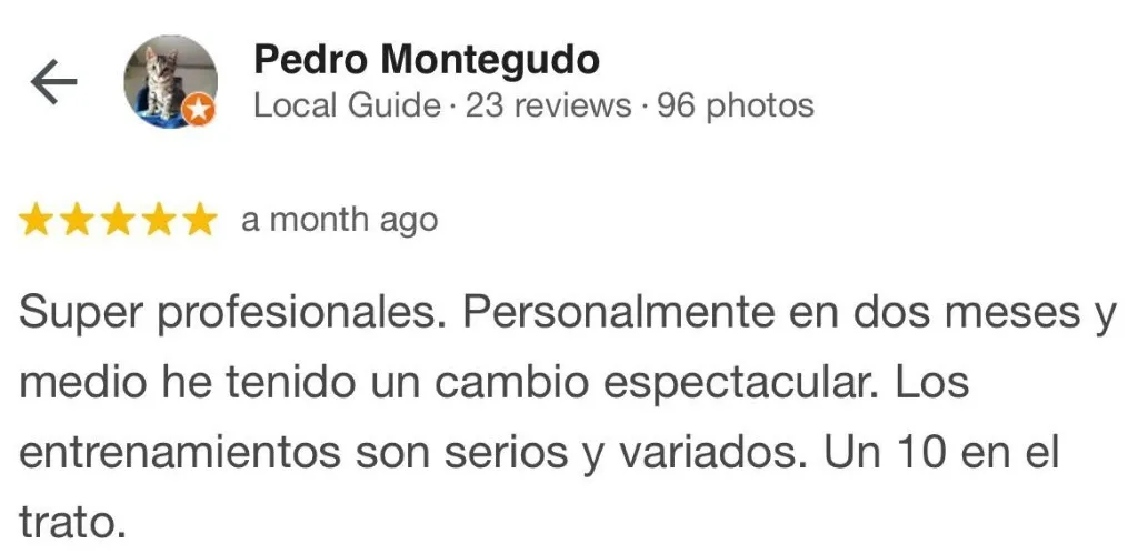 Captura de la reseña de Pedro Montegudo en Google