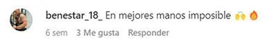 Reseña de cliente 13